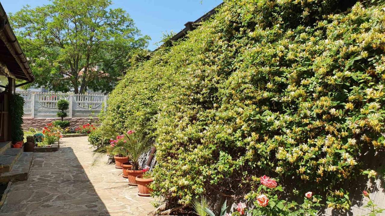 Marianas Guesthouse Obzor Εξωτερικό φωτογραφία